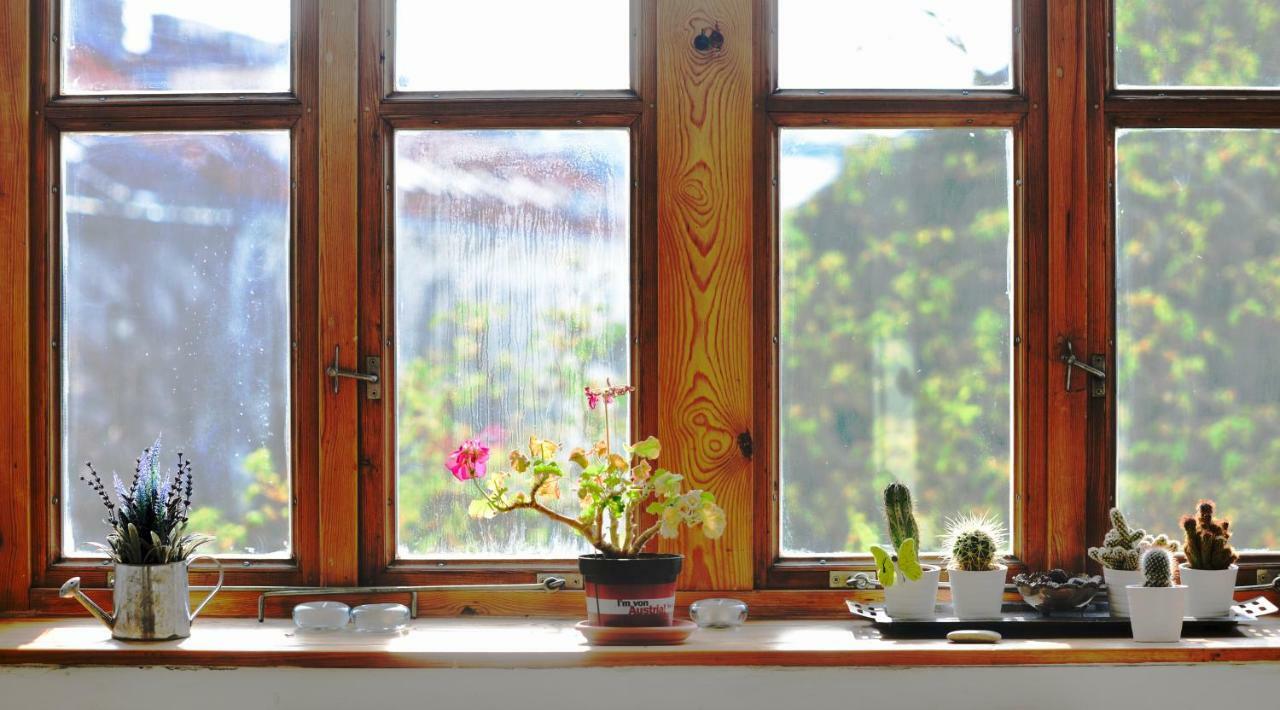 Vienna'S Most Charming Home Buitenkant foto